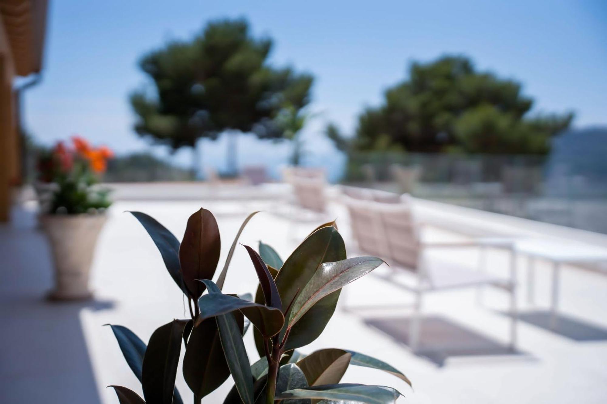 Aura Apartments Mattinata Εξωτερικό φωτογραφία